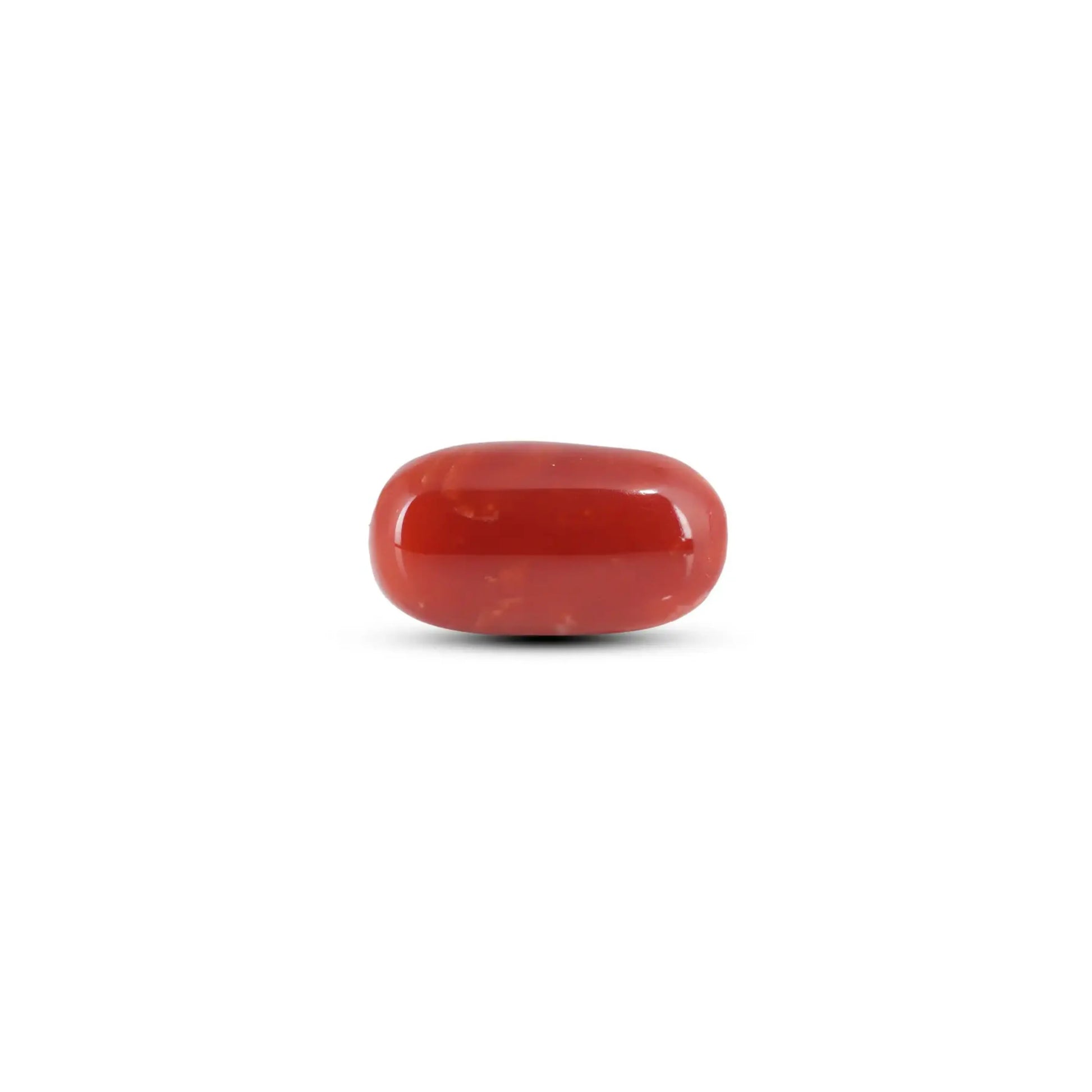Japanese Red Coral - 12.4 Carat