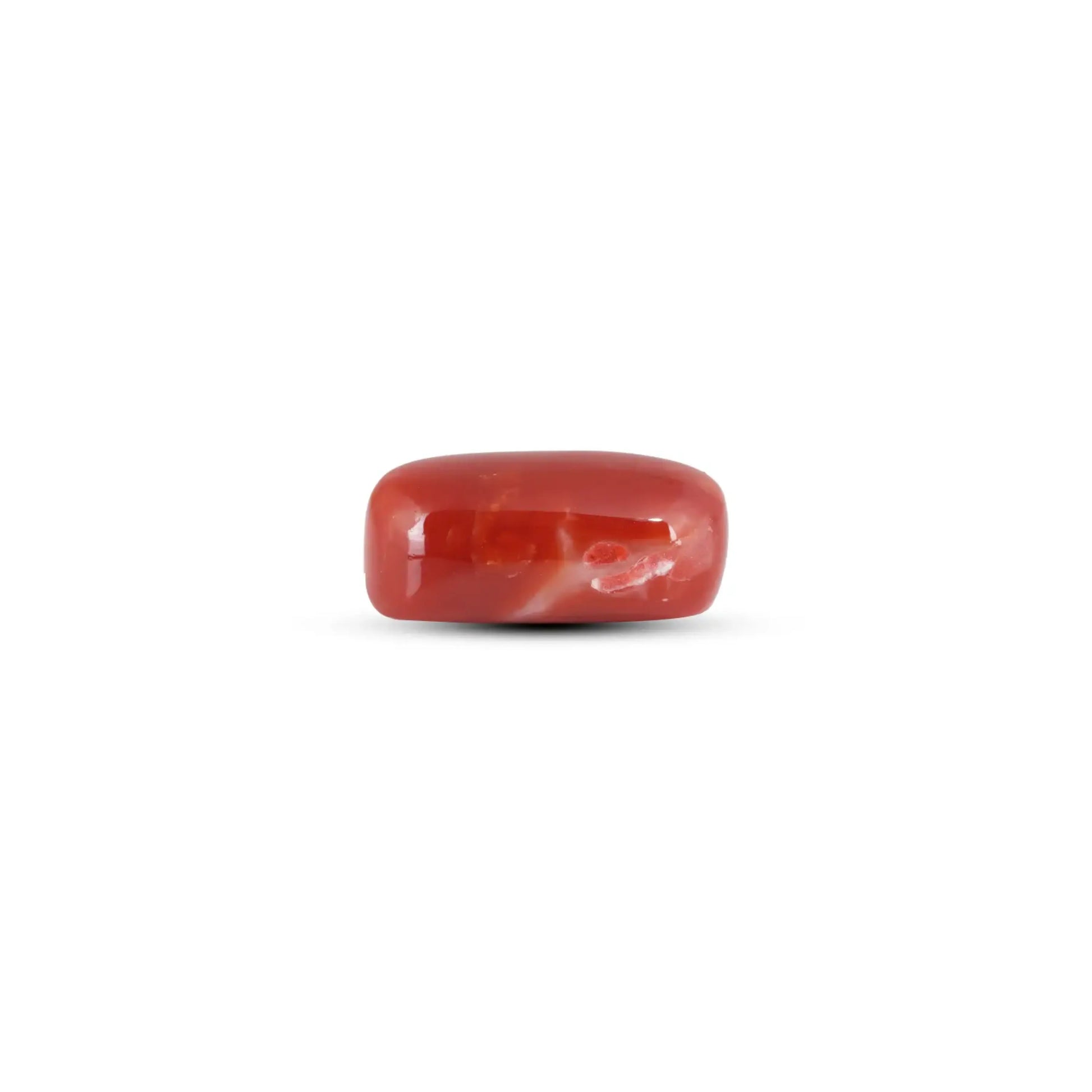 Japanese Red Coral - 12.4 Carat