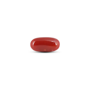 Japanese Red Coral - 8.75 Carat