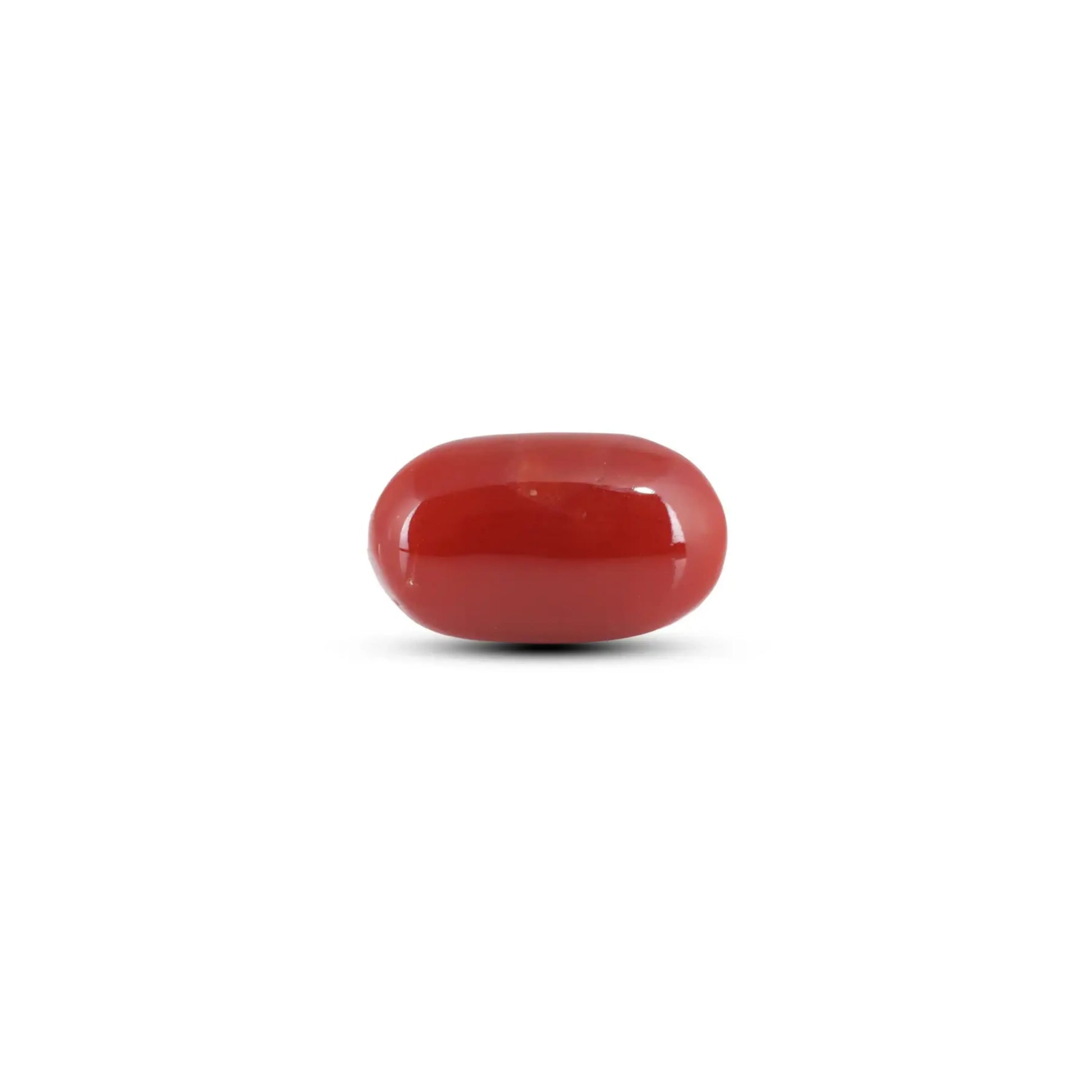 Japanese Red Coral - 5.9 Carat