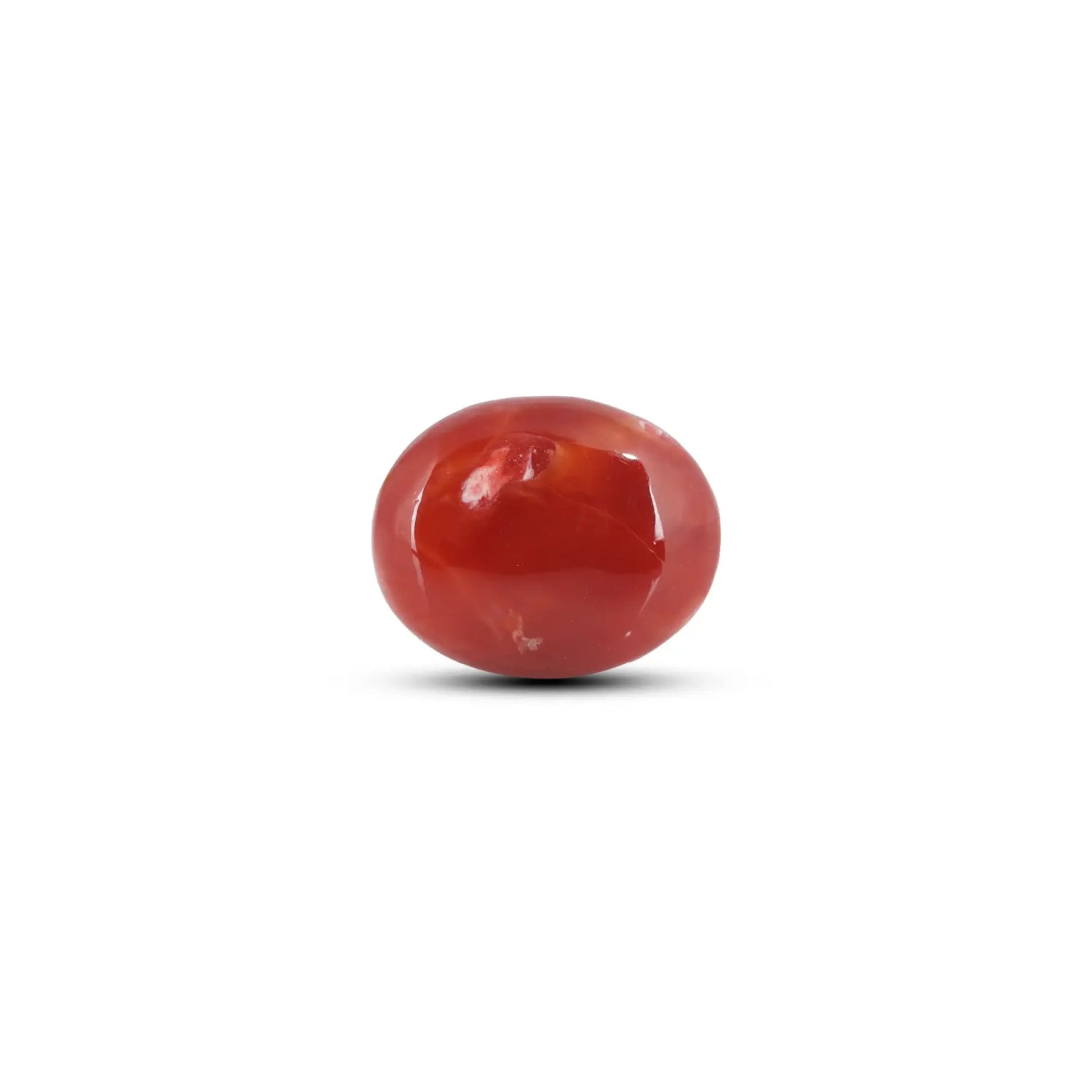 Japanese Red Coral - 6 Carat