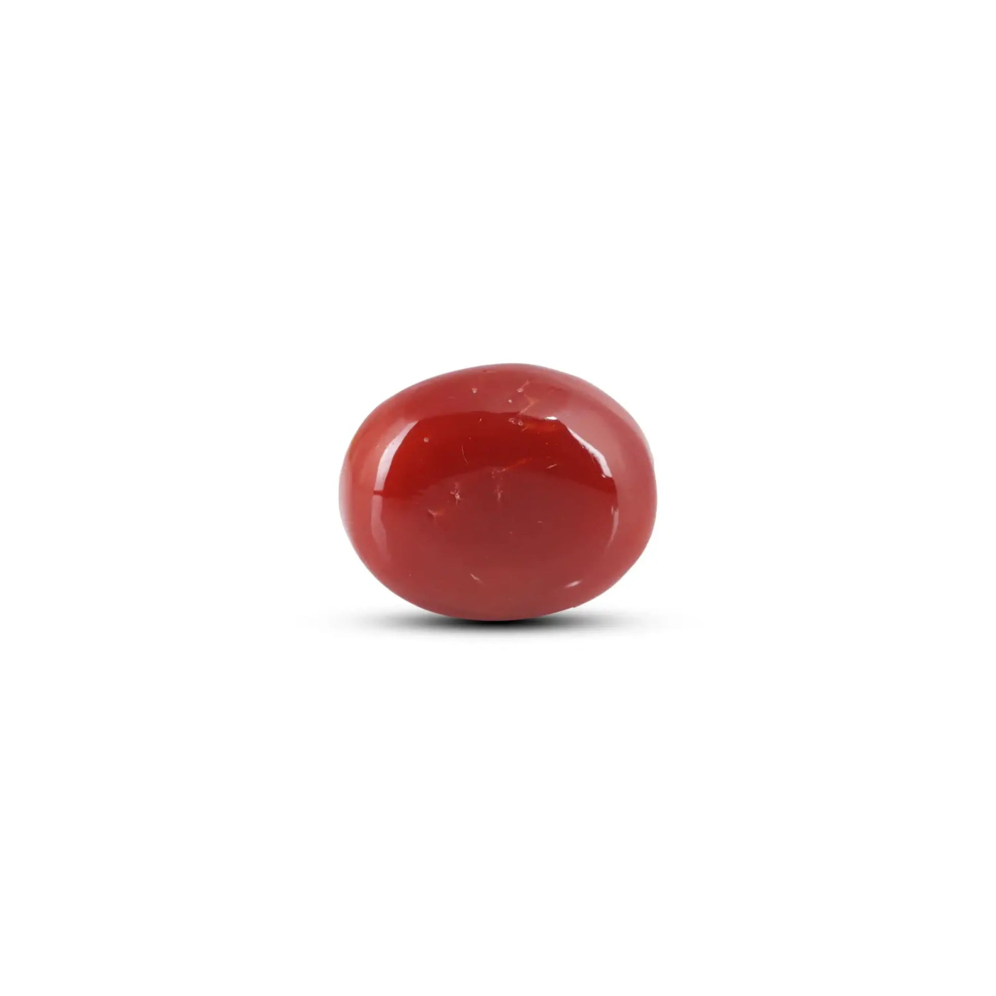 Japanese Red Coral - 6 Carat