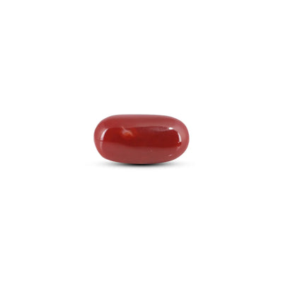 Japanese Red Coral - 8.6 Carat