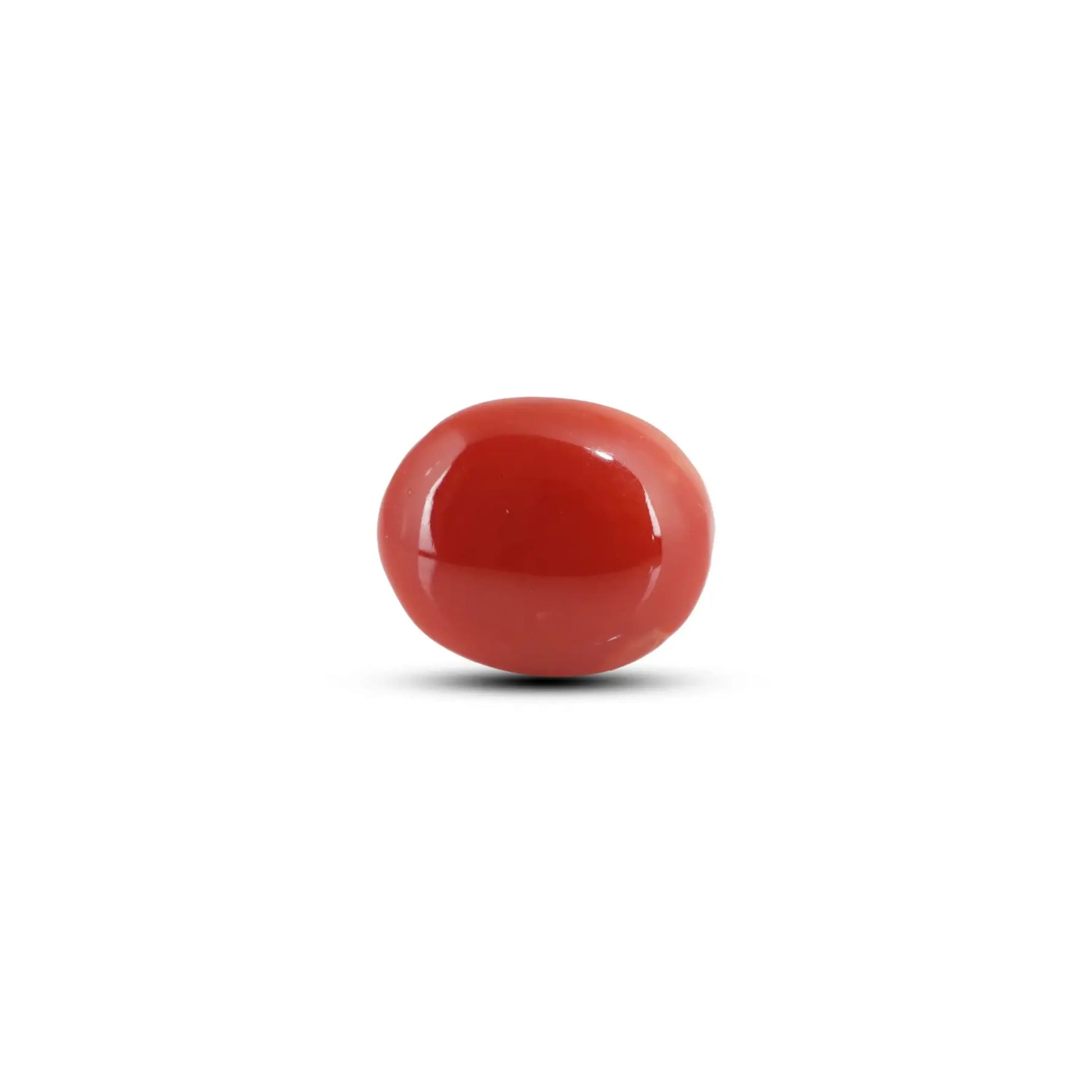 Japanese Red Coral - 5.6 Carat