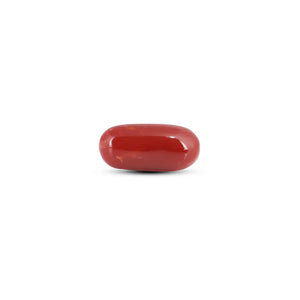 Japanese Red Coral - 7.25 Carat