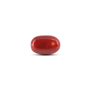 Japanese Red Coral - 13 Carat