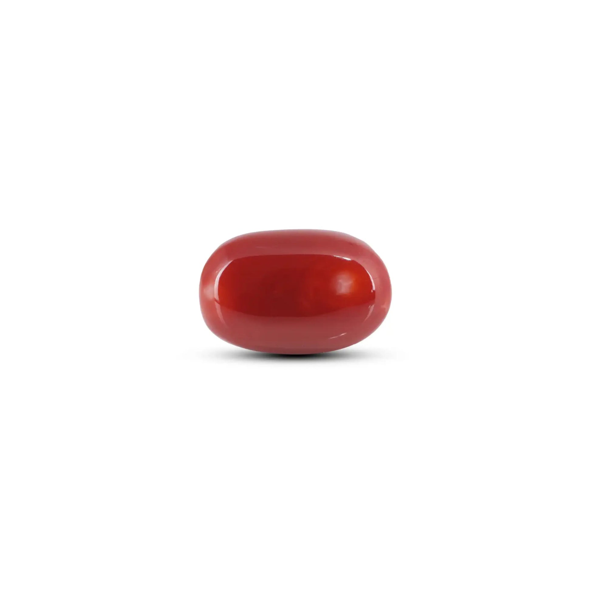 Japanese Red Coral - 13 Carat