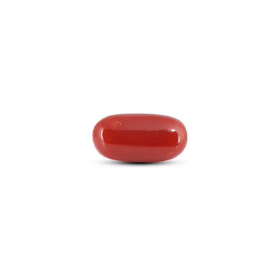 Japanese Red Coral - 7.3 Carat
