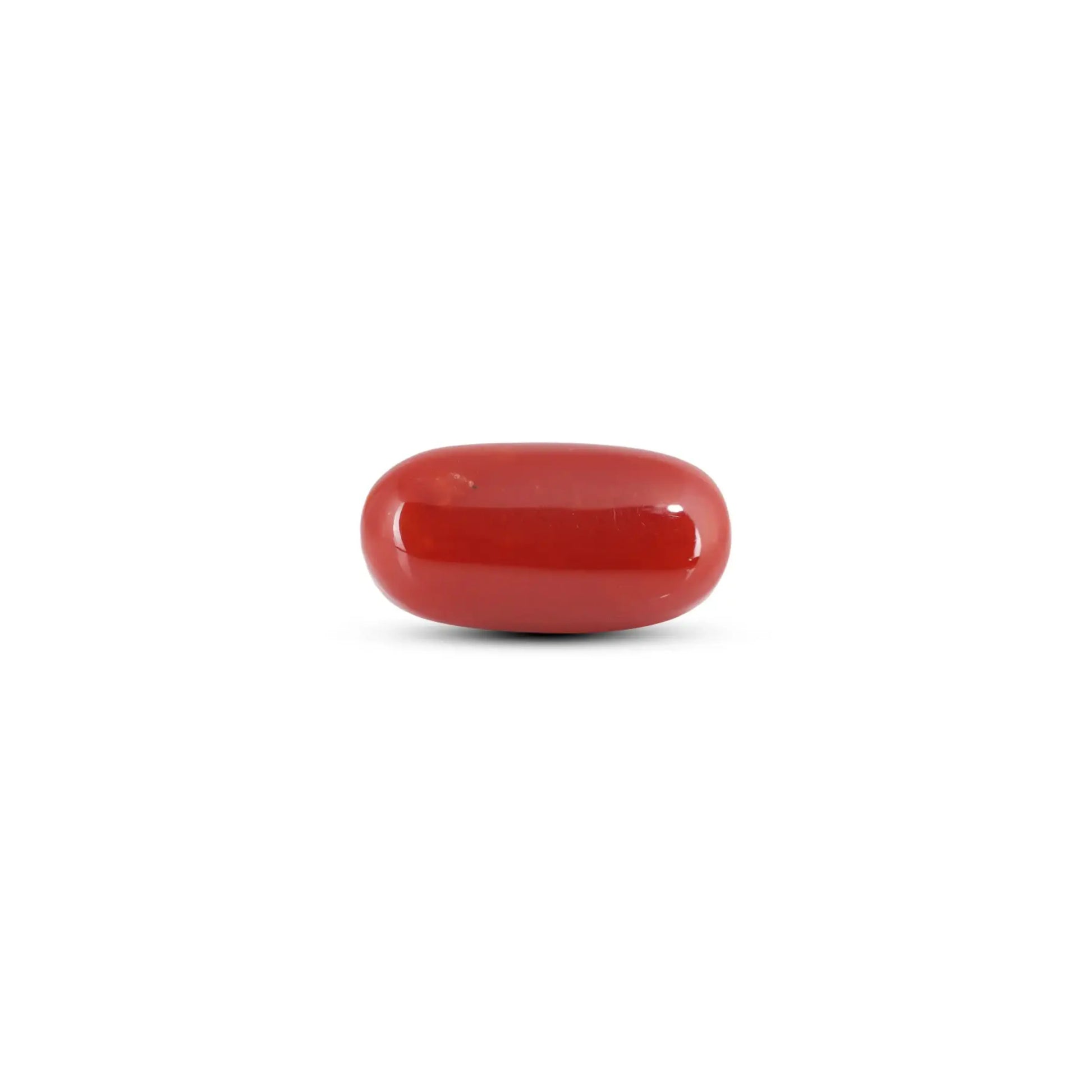 Japanese Red Coral - 7.3 Carat