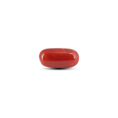 Japanese Red Coral - 7.75 Carat