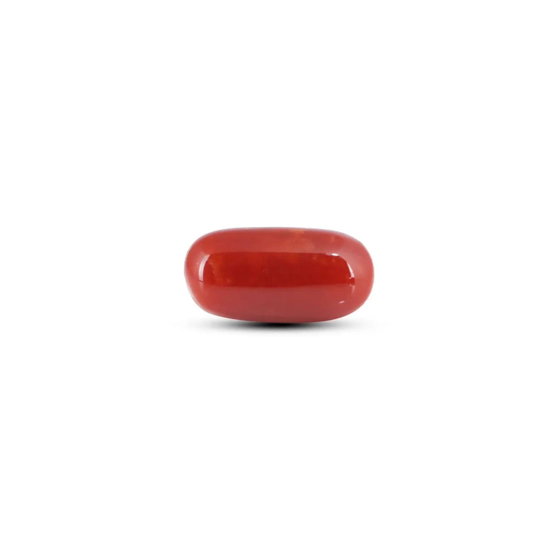 Japanese Red Coral - 7.75 Carat