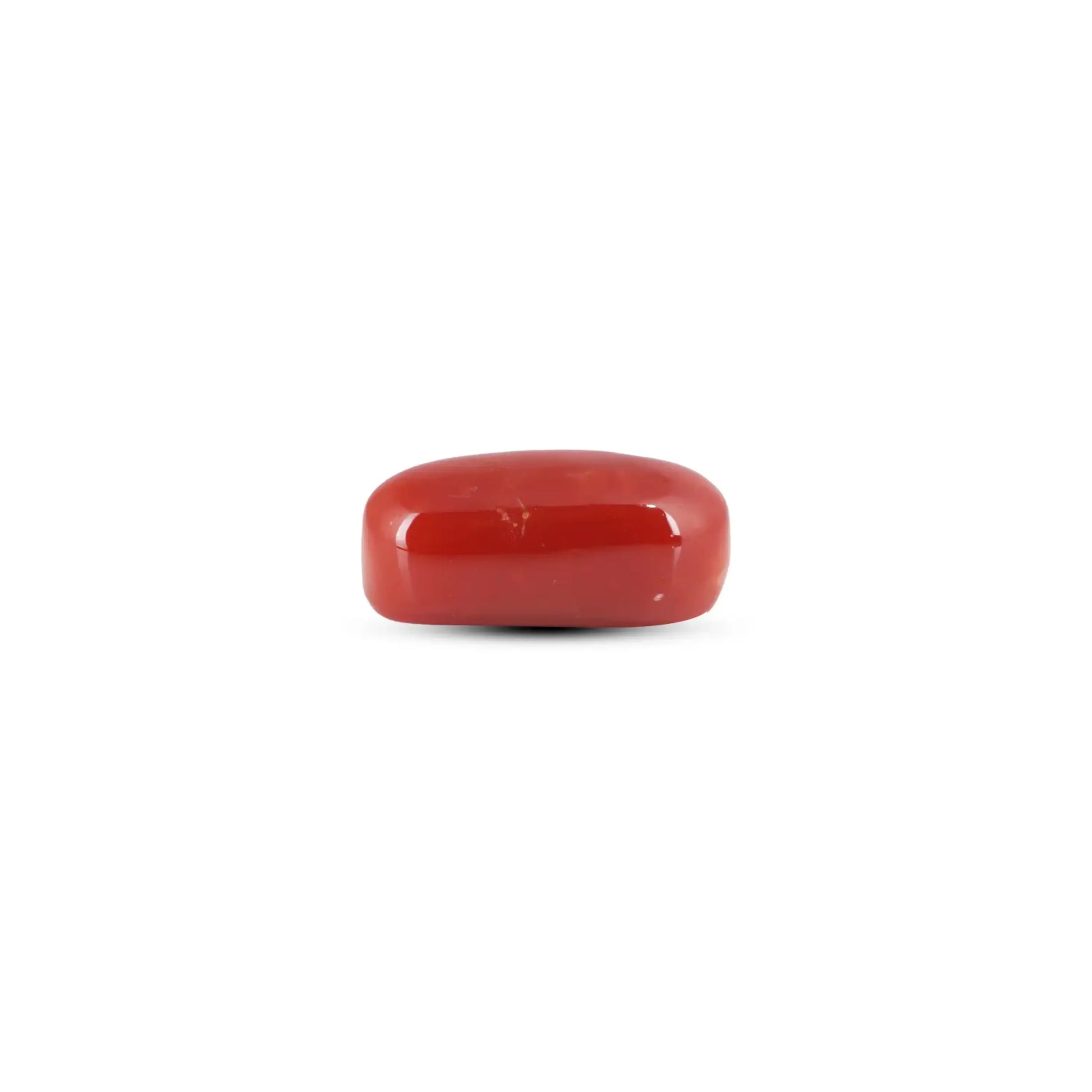 Japanese Red Coral - 7.05 Carat
