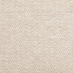 Nunelle Indoor / Outdoor Accent Chair