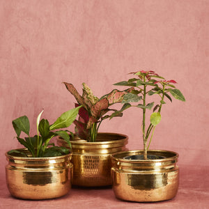 Brass Planters