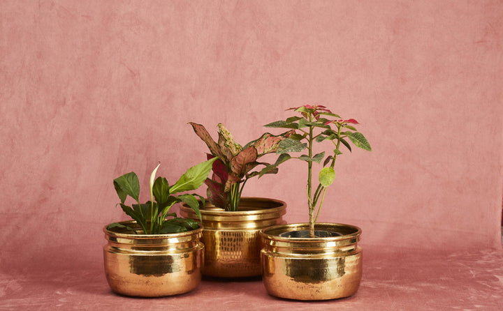 Brass Planters