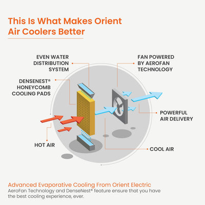Knight Plus Desert Air Cooler with Ice chamber, Dust Filter & High Air Delivery