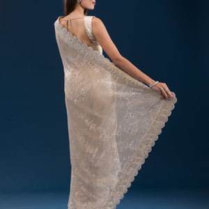 Beige Sequins Net Saree