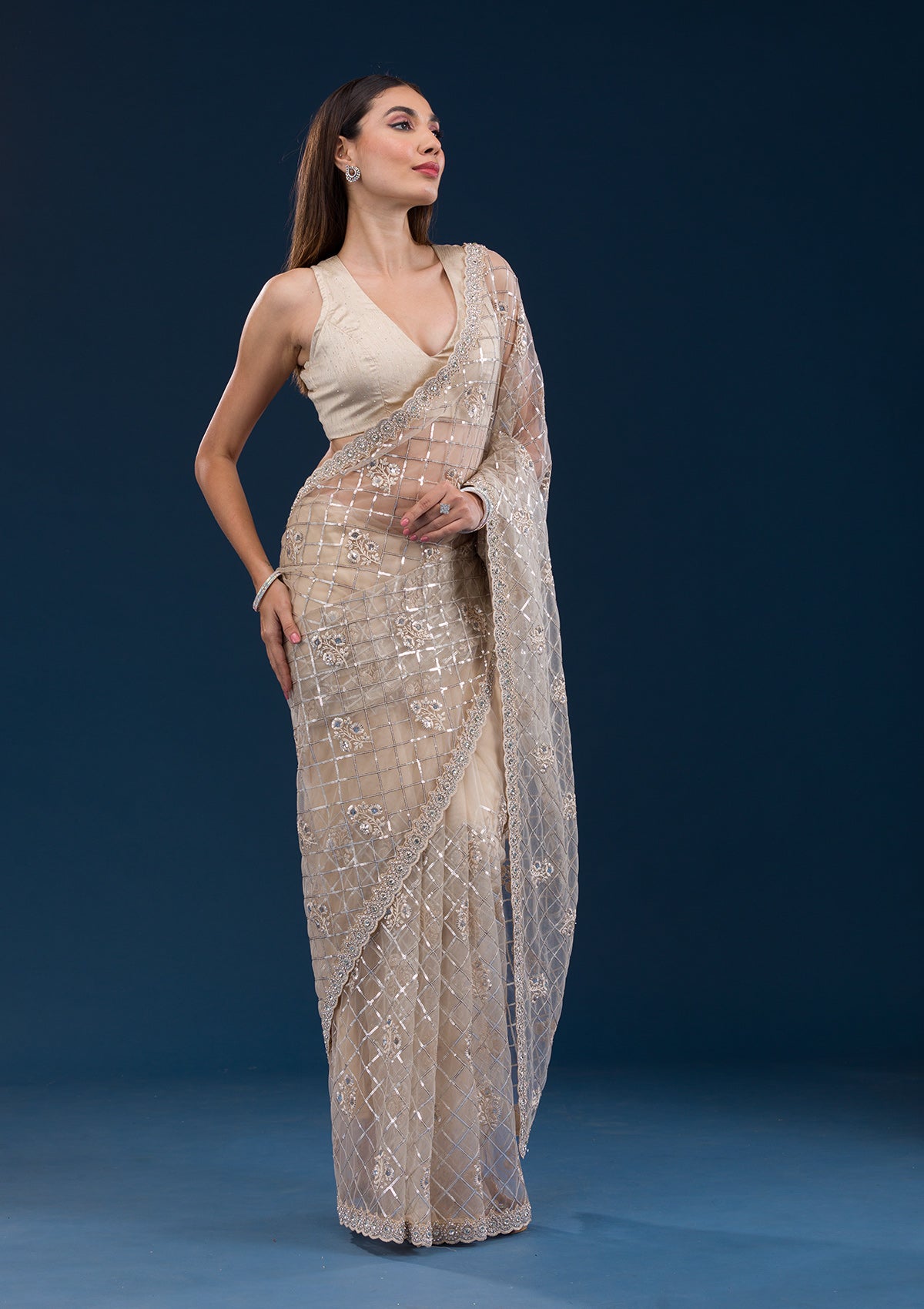 Beige Sequins Net Saree