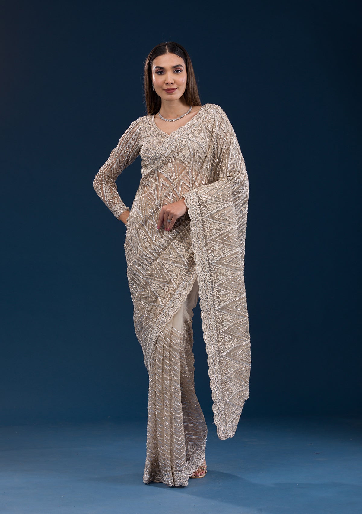 Beige Sequins Net Saree