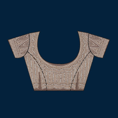 Beige Sequins Net Saree