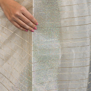 Beige Stonework Tissue Saree