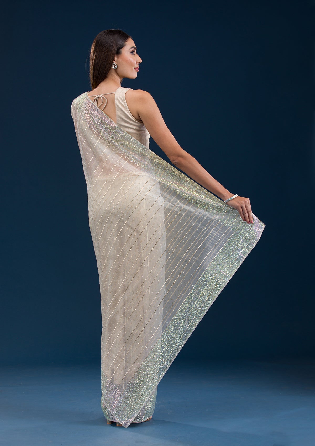 Beige Stonework Tissue Saree