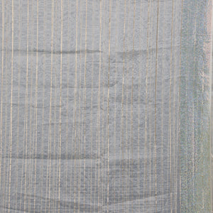 Beige Stonework Tissue Saree