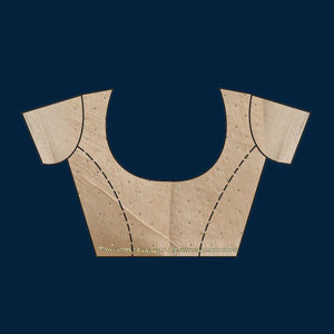 Beige Stonework Tissue Saree