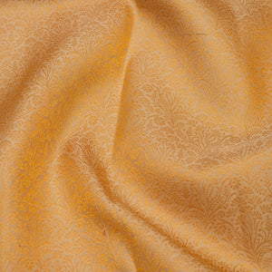 Beige Zariwork Pure Silk Saree