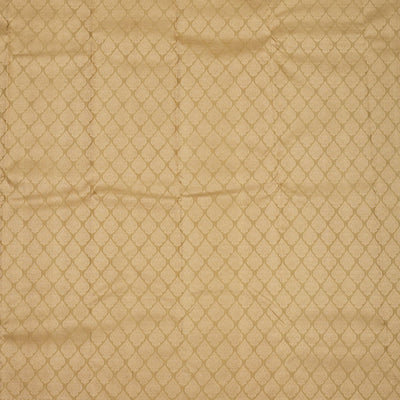 Beige Zariwork Pure Silk Saree