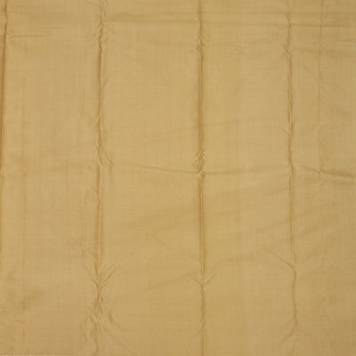 Beige Zariwork Pure Silk Saree