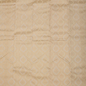 Beige Zariwork Pure Silk Saree