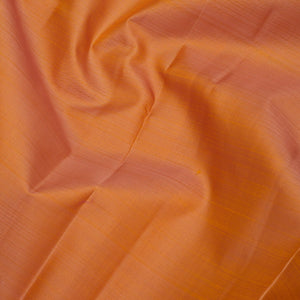 Beige Zariwork Pure Silk Saree