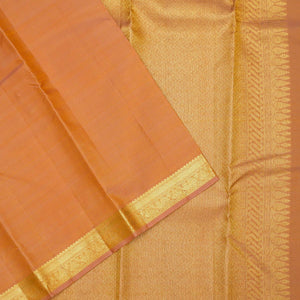 Beige Zariwork Pure Silk Saree