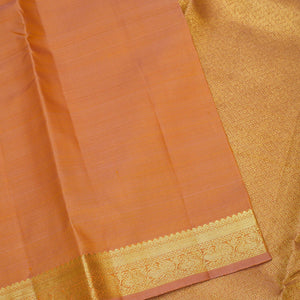 Beige Zariwork Pure Silk Saree