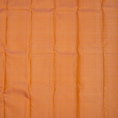 Beige Zariwork Pure Silk Saree