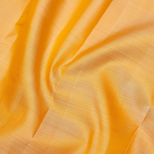 Beige Zariwork Pure Silk Saree