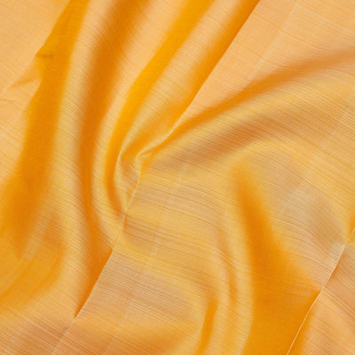 Beige Zariwork Pure Silk Saree