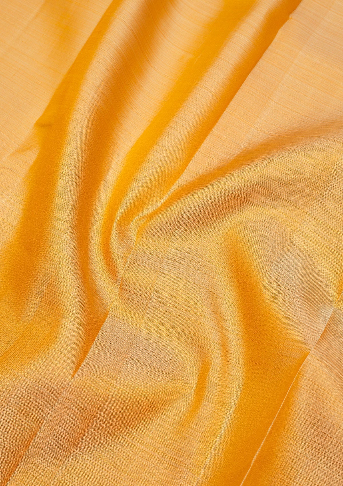 Beige Zariwork Pure Silk Saree
