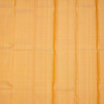 Beige Zariwork Pure Silk Saree