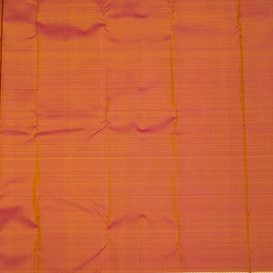 Beige Zariwork Pure Silk Saree