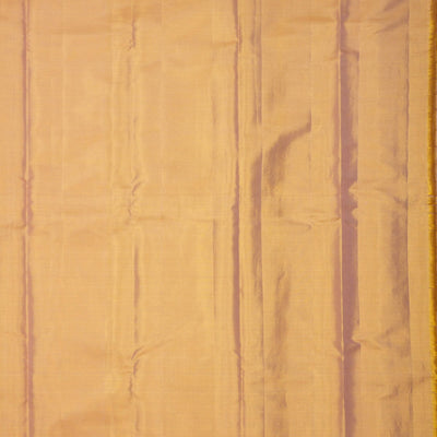 Beige Zariwork Pure Silk Saree