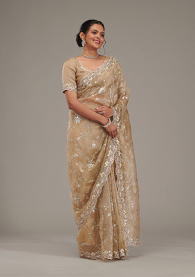 Beige Zariwork Tissue Saree