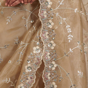 Beige Zariwork Tissue Saree