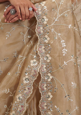 Beige Zariwork Tissue Saree