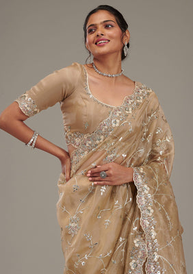 Beige Zariwork Tissue Saree