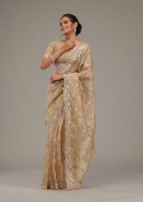 Beige Zariwork Tissue Saree