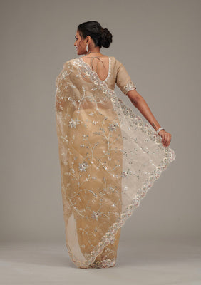 Beige Zariwork Tissue Saree