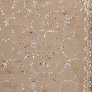 Beige Zariwork Tissue Saree