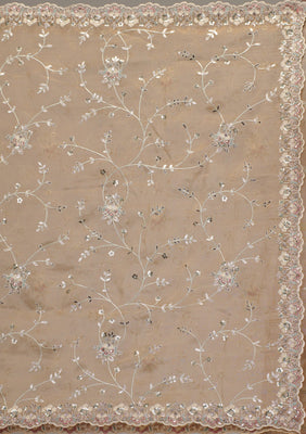 Beige Zariwork Tissue Saree